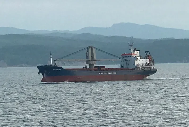 MMK IDEFIX General Cargo IMO 9437799