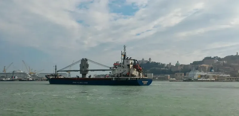 MMK IDEFIX General Cargo IMO 9437799 photo 2