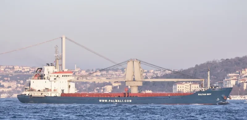 MMK IDEFIX General Cargo IMO 9437799 photo 8