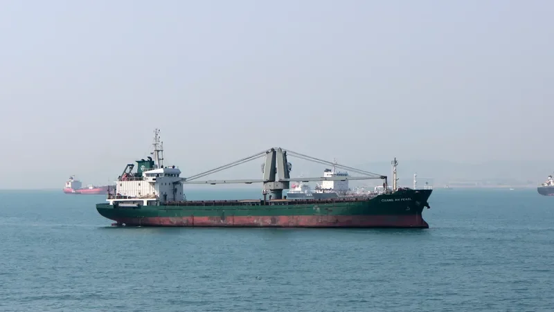 SMART RISING General Cargo IMO 9437828