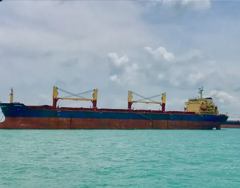 DENALI Bulk Carrier IMO 9438016