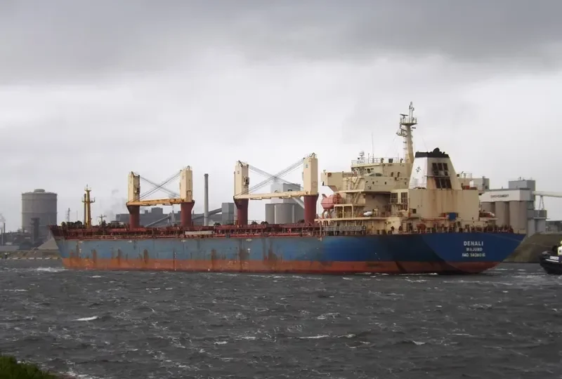 DENALI Bulk Carrier IMO 9438016 photo 2