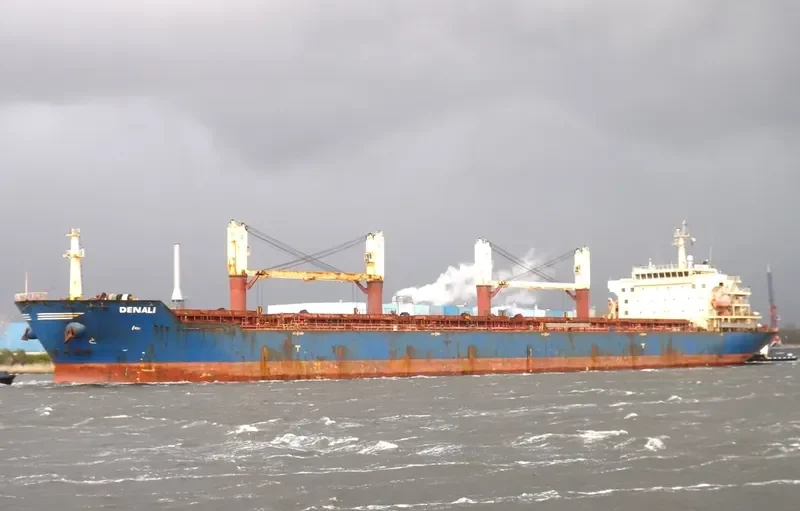 DENALI Bulk Carrier IMO 9438016 photo 3