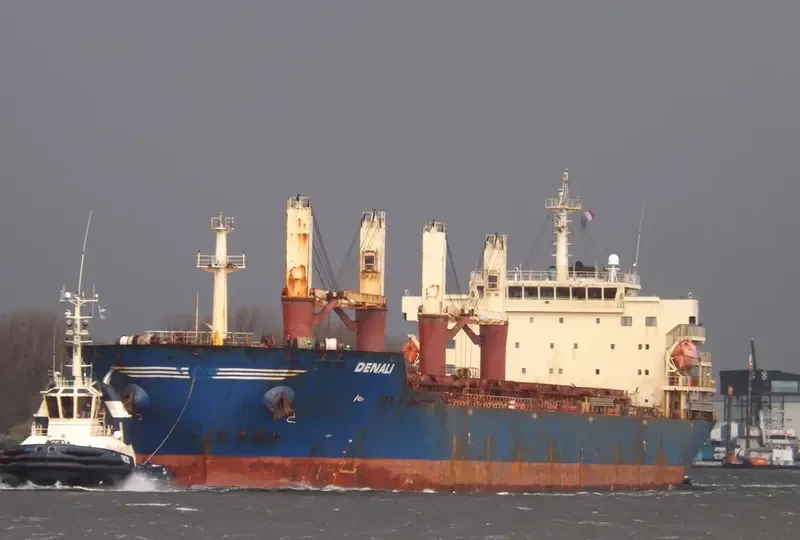 DENALI Bulk Carrier IMO 9438016 photo 4