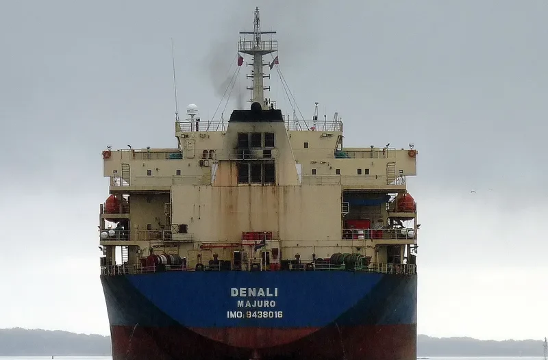 DENALI Bulk Carrier IMO 9438016 photo 5