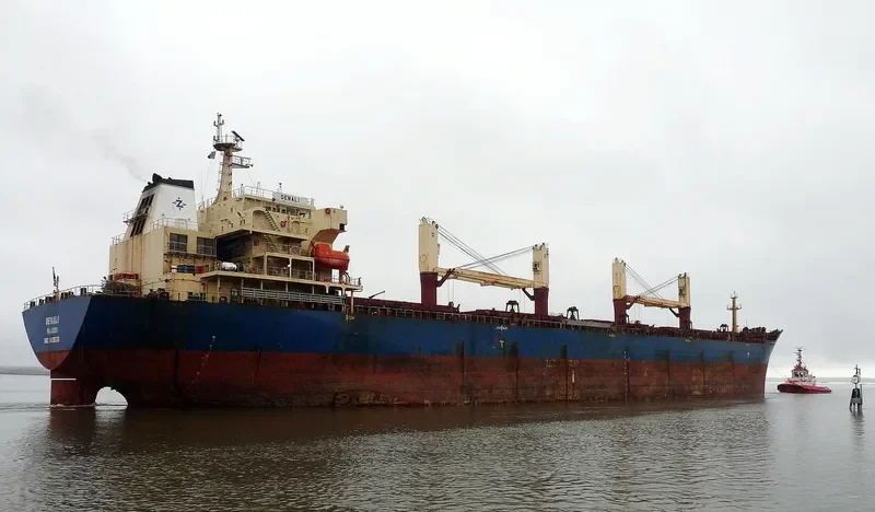 DENALI Bulk Carrier IMO 9438016 photo 6