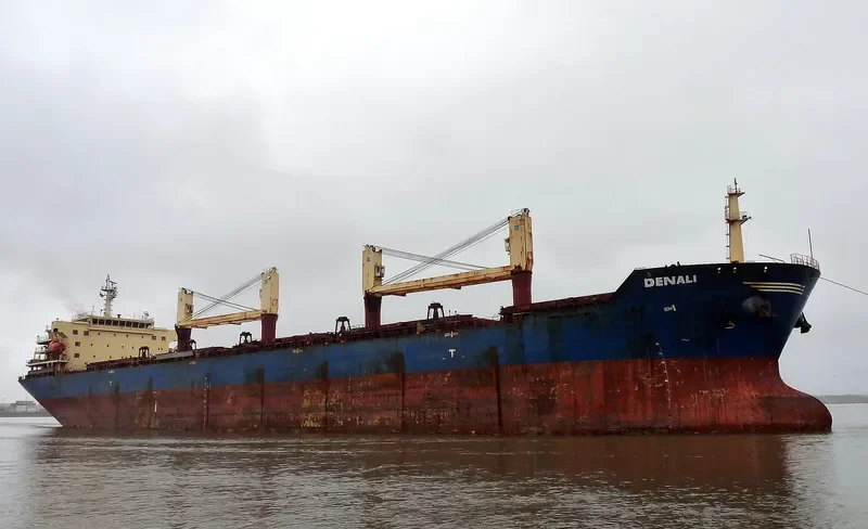 DENALI Bulk Carrier IMO 9438016 photo 7