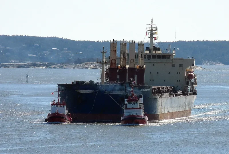 DENALI Bulk Carrier IMO 9438016 photo 8