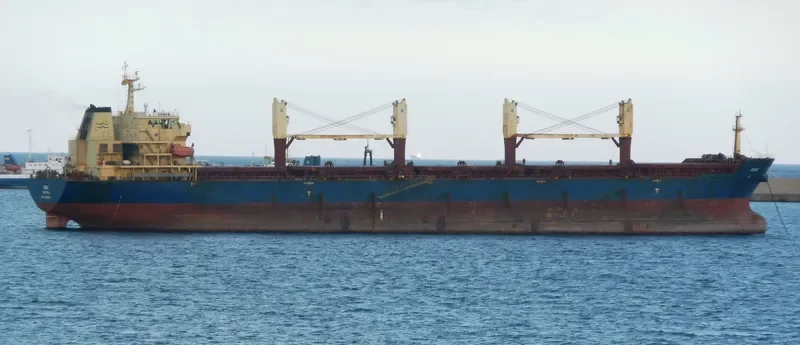 DENALI Bulk Carrier IMO 9438016 photo 9