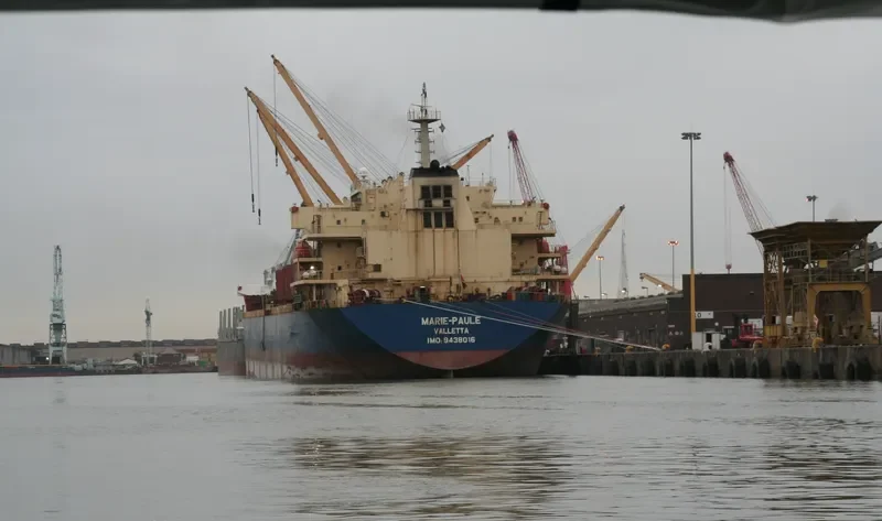 DENALI Bulk Carrier IMO 9438016 photo 10