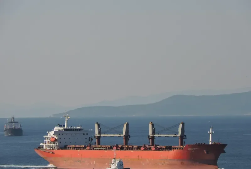 HANG HUAN 6 Bulk Carrier IMO 9438030 photo 8