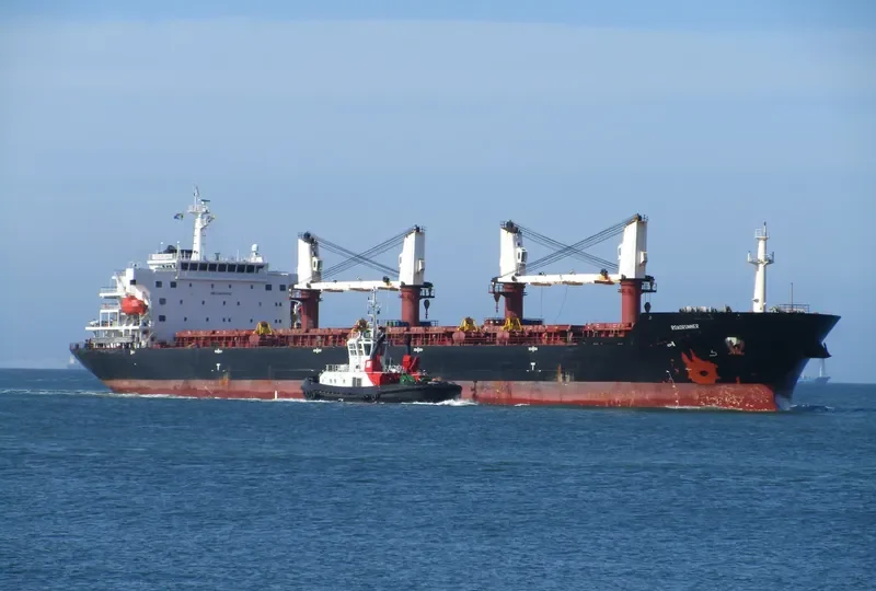 ROADRUNNER Bulk Carrier IMO 9438042 photo 5