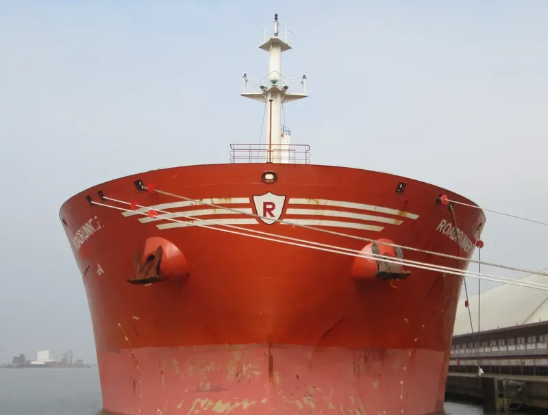ROADRUNNER Bulk Carrier IMO 9438042 photo 7