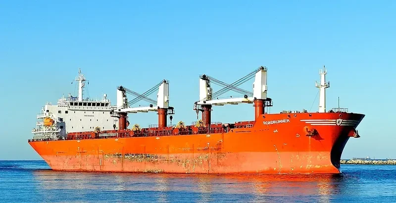 ROADRUNNER Bulk Carrier IMO 9438042 photo 9