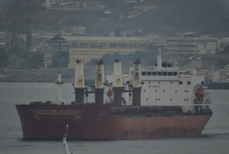DELPHI RANGER Bulk Carrier IMO 9438054 photo 3
