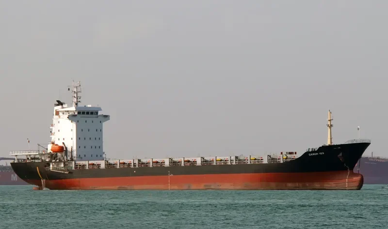 DANUM 159 Container Ship IMO 9438080 photo 2