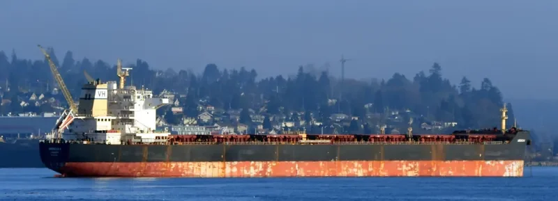ANDREAS K Bulk Carrier IMO 9438121 photo 2
