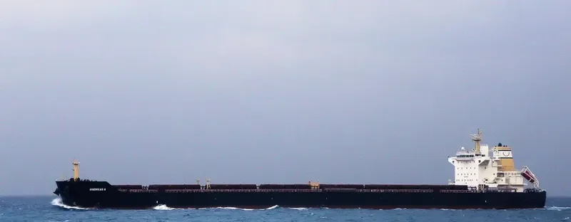 ANDREAS K Bulk Carrier IMO 9438121 photo 7