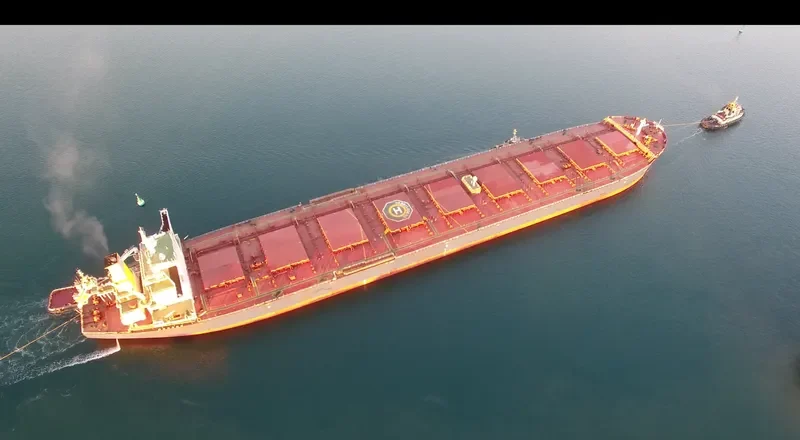 HEBEI LEGEND Bulk Carrier IMO 9438470