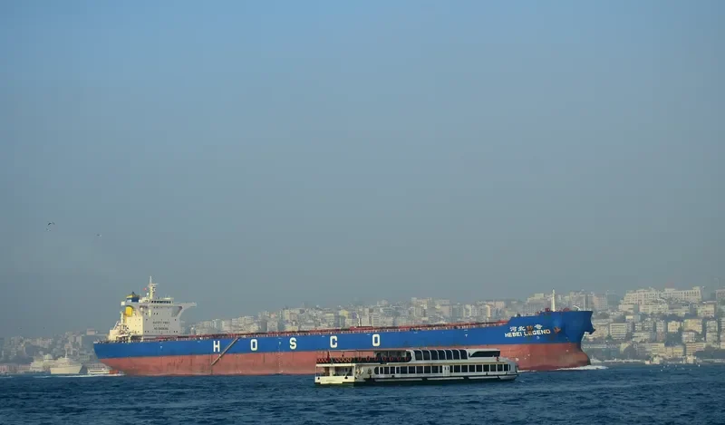 HEBEI LEGEND Bulk Carrier IMO 9438470 photo 6