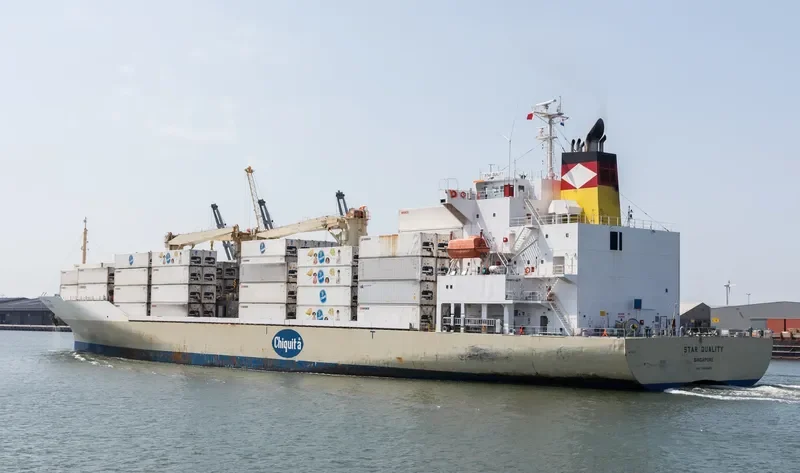 STAR QUALITY General Cargo IMO 9438494 photo 2