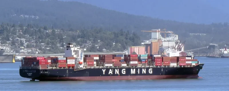 YM MANDATE Container Ship IMO 9438523