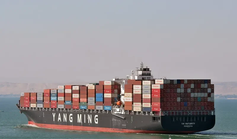 YM MATURITY Container Ship IMO 9438535