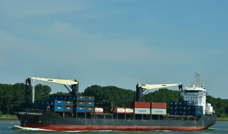 ONEGO ELBE General Cargo IMO 9438573