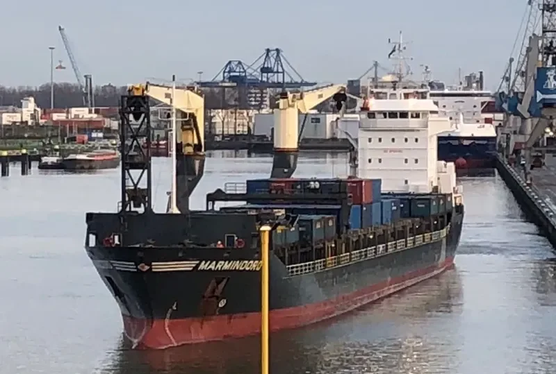 ONEGO NEVA General Cargo IMO 9438585