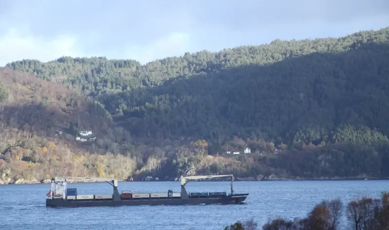ONEGO NEVA General Cargo IMO 9438585 photo 2