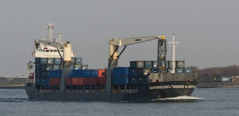 ONEGO NEVA General Cargo IMO 9438585 photo 3