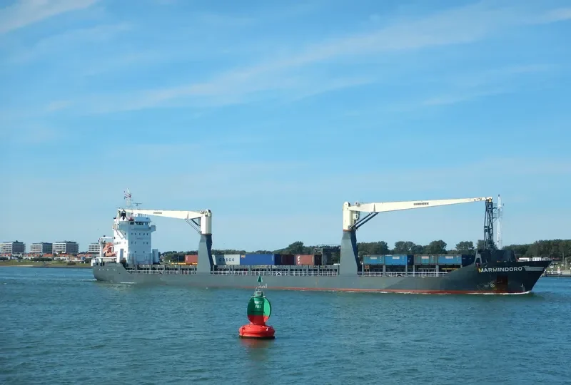 ONEGO NEVA General Cargo IMO 9438585 photo 7