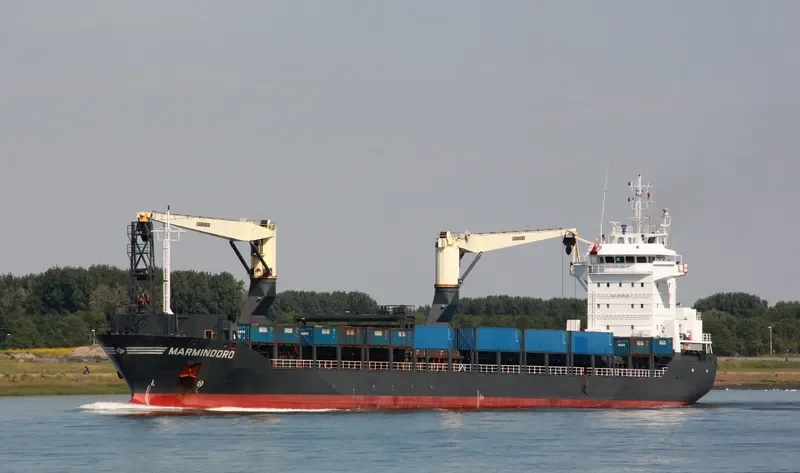ONEGO NEVA General Cargo IMO 9438585 photo 8