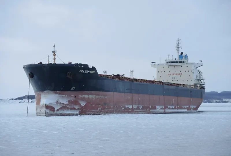 GOLDEN SUEK Bulk Carrier IMO 9438614