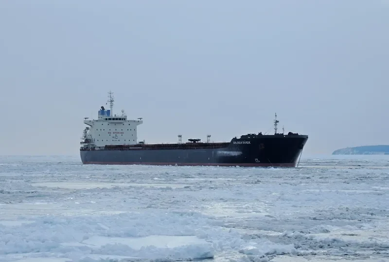 GOLDEN SUEK Bulk Carrier IMO 9438614 photo 2