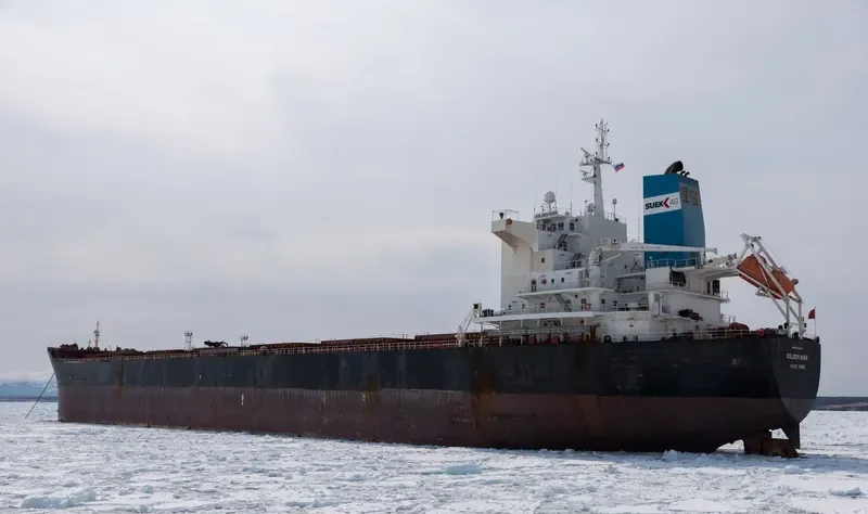 GOLDEN SUEK Bulk Carrier IMO 9438614 photo 4