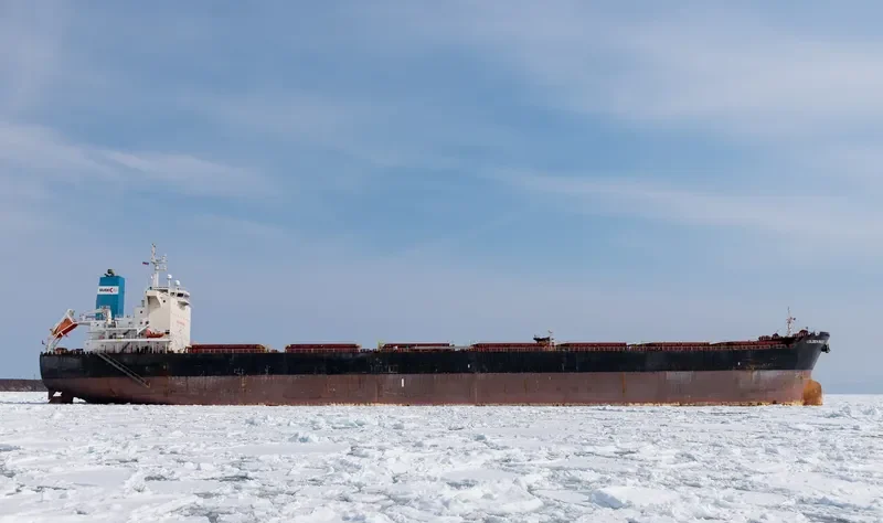 GOLDEN SUEK Bulk Carrier IMO 9438614 photo 5