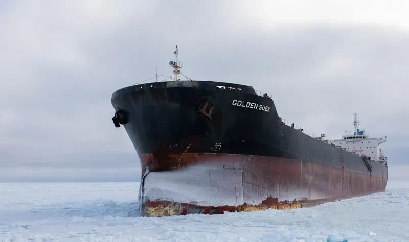 GOLDEN SUEK Bulk Carrier IMO 9438614 photo 6