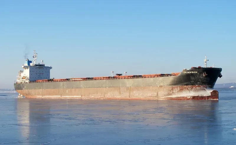 GOLDEN SUEK Bulk Carrier IMO 9438614 photo 7