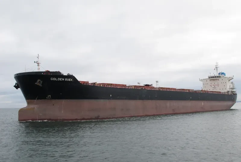GOLDEN SUEK Bulk Carrier IMO 9438614 photo 10