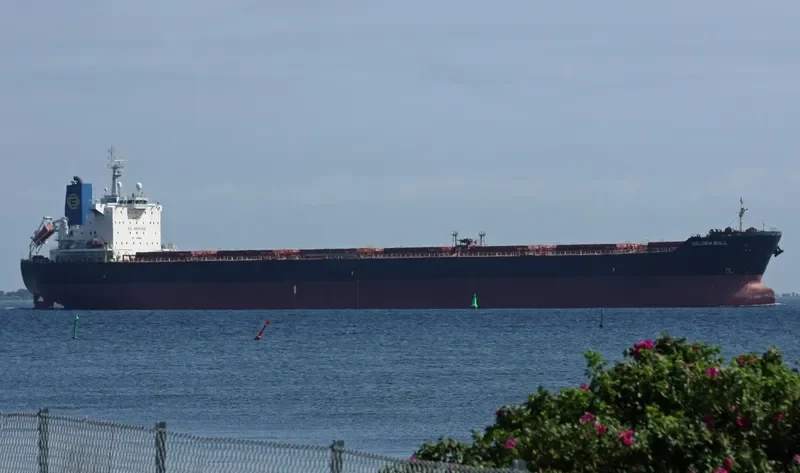 GOLDEN BULL Bulk Carrier IMO 9438626