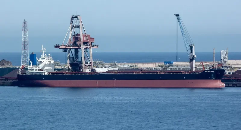 GOLDEN BULL Bulk Carrier IMO 9438626 photo 2