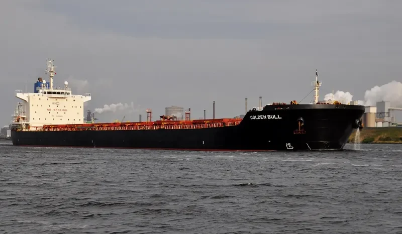 GOLDEN BULL Bulk Carrier IMO 9438626 photo 3