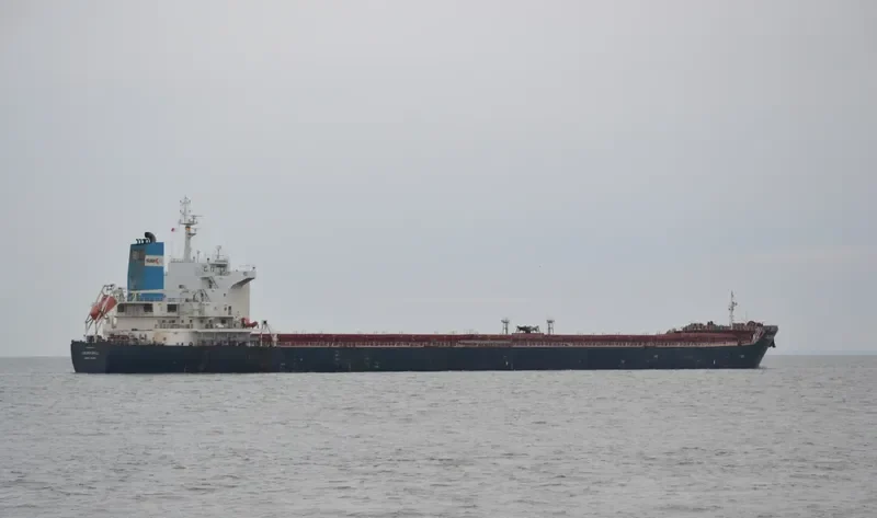 GOLDEN BULL Bulk Carrier IMO 9438626 photo 4