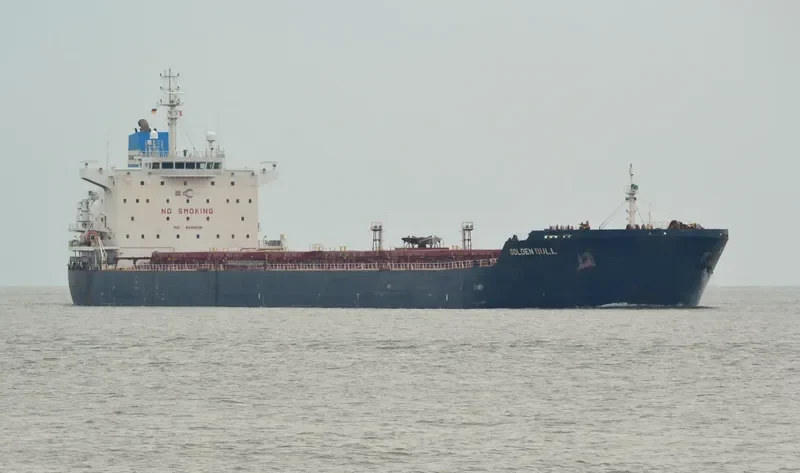 GOLDEN BULL Bulk Carrier IMO 9438626 photo 5