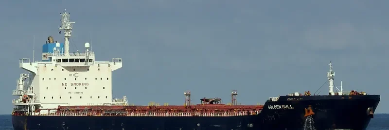 GOLDEN BULL Bulk Carrier IMO 9438626 photo 6