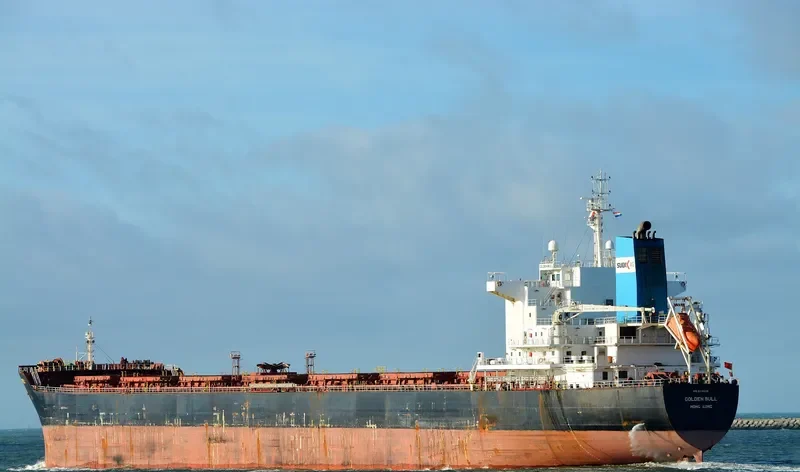 GOLDEN BULL Bulk Carrier IMO 9438626 photo 8