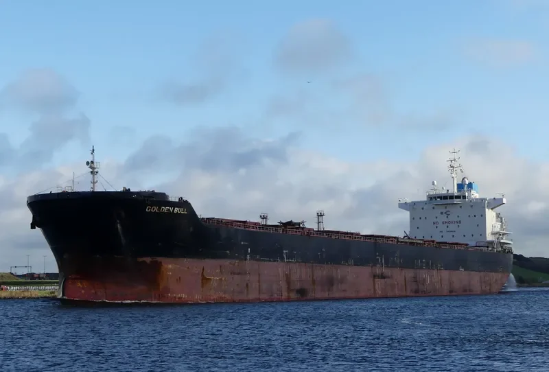 GOLDEN BULL Bulk Carrier IMO 9438626 photo 10
