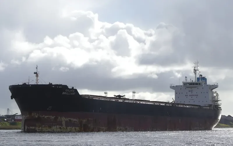 GOLDEN BRILLIANT Bulk Carrier IMO 9438638 photo 2