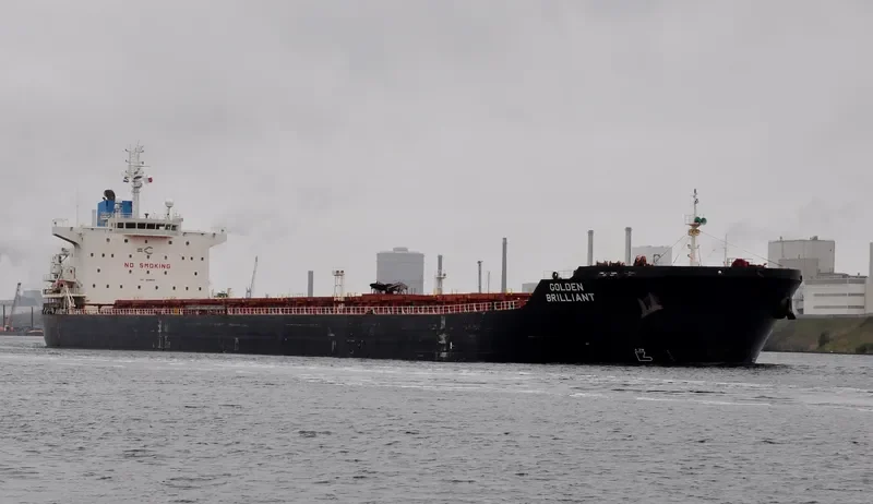 GOLDEN BRILLIANT Bulk Carrier IMO 9438638 photo 4